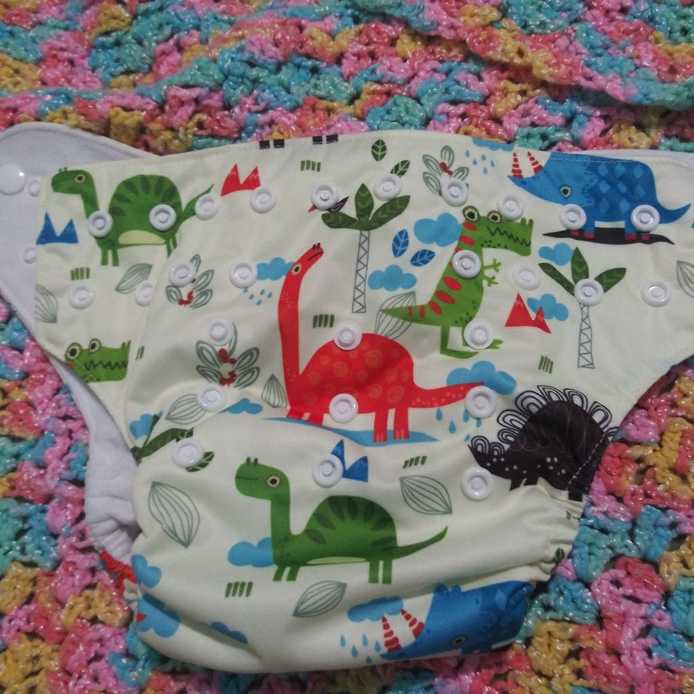 2 Printed Pocket Cloth Diapers with 1 insert